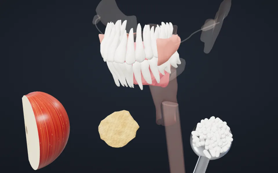 3D teeth above an apple, a biscuit and a spoonful of rice, in a lesson on chewing food